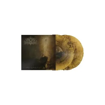 Hudba I Write To You,My Darling... / Vinyl / 2LP - Wake In Providence [2 LP]