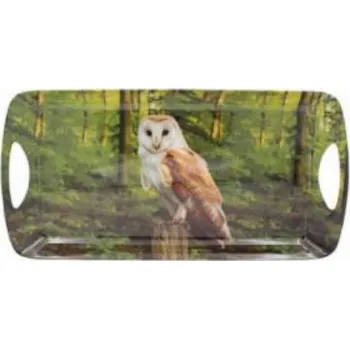 Leonardo, Anglie Plastový tác dekor Ptáci č. 1 Sova - 40*20*3 cm