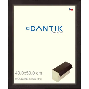 Rám na obraz DANTIK rámeček 40x50 | WOODLINE hnědá (Plexi Čiré) (Vyrobeno s láskou u nás v DANTIKU)