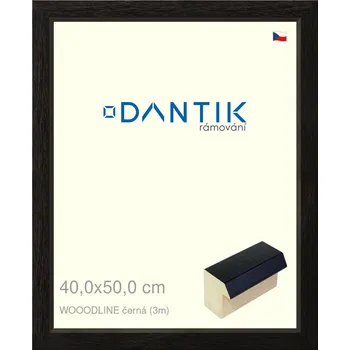 Rám na obraz DANTIK rámeček 40x50 | WOODLINE černá (Plexi Čiré) (Vyrobeno s láskou u nás v DANTIKU)
