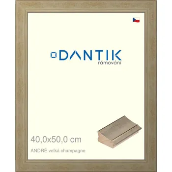 Rám na obraz DANTIK rámeček 40x50 | ANDRÉ velká champagne (Plexi Čiré) (Vyrobeno s láskou u nás v DANTIKU)