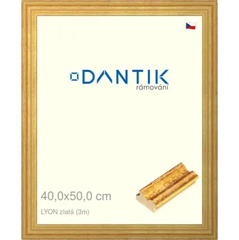 Rám na obraz DANTIK rámeček 40x50 | LYON zlatá (Plexi Čiré) (Vyrobeno s láskou u nás v DANTIKU)