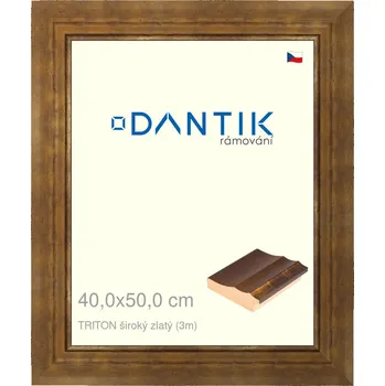 Rám na obraz DANTIK rámeček 40x50 | TRITON široký zlatý (Sklo Čiré) (Vyrobeno s láskou u nás v DANTIKU)