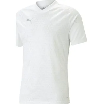 Pánské tričko Pánský dres Puma TEAMCUP TRAINING JERSEY TEE L Bílá, Šedá