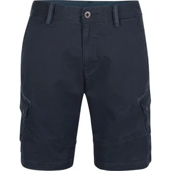 Pánské kraťasy Pánské šortky O'Neill COMPLEX 33 Modrá