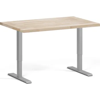 Dílenský stůl Výškově nastavitelný pracovní stůl do dílny, 2 motory, 1200 x 800 x 760-1230 mm, šedá podnož