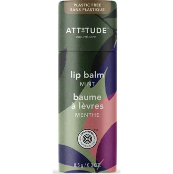 Přípravek na rty Balzám na rty 8,5 g máta