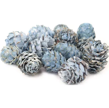 Salignum frosted lagoon 250 gr.