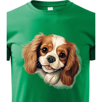 Chlapecké tričko Dětské tričko Kavalír King Charles, Barva Zelená, Velikost 122 cm/6 roků, Canvas Dětské tričko 2201
