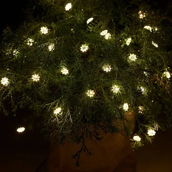 Lampička Sirius Pro interiér i exteriér - Silke 40fl LED pohádková světla - Celková délka 420 cm; délka přívodního kabelu 30 cm čirá, zelená 40 LED diod