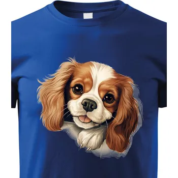 Chlapecké tričko Dětské tričko Kavalír King Charles, Barva Modrá, Velikost 158 cm/12 roků, Canvas Dětské tričko 2201
