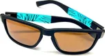 Brýle VISION POLARIZED FASHION 2331 jantarová skla