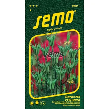 Semeno Černucha východní Transformer 12/2023