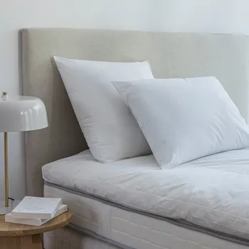 Polštář Blancheporte Polštář s úpravou proti roztočům Proneem®, tvrdší bílá 60x60 cm