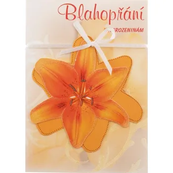 Přání srdečné - glitry WB4 02100-0185