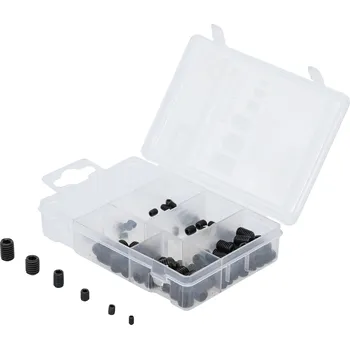 Šroub BGS Diy BGS 88156, Sada šroubů vnitřní červ | 91dílná
