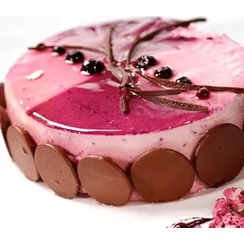 Farmaceutická surovina Stabilizátor šlehačky s příchutí černého rybízu, 0,5 kg | ZEELANDIA, Zeesan Czarna porzeczka