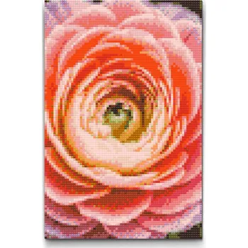 Diamantové malování Diamantové malování - Květ pryskyřníku Velikost: 20x30cm, Rámování: Pouze srolované plátno, Diamanty: Kulaté