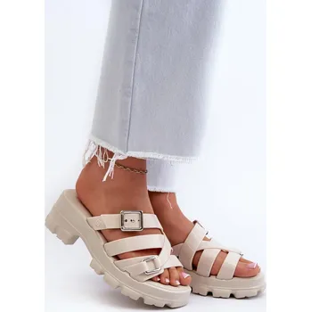 Dámské žabky Pantofle model 197668 Step in style 40