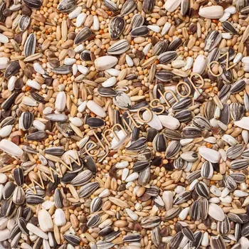 Krmivo pro ptáka Deli Nature 30 Large Parakeets Basic 4kg (Základní směs pro střední papoušky)