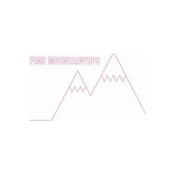 Zahraniční hudba SP Pink Mountaintops: The Ones I Love / Erected 2005