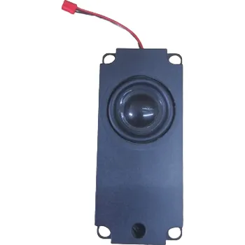 Reproduktor (speaker ) pro Inmotion V13