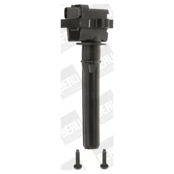 Zapalovací cívka Zapalovací cívka BorgWarner (BERU) ZS431