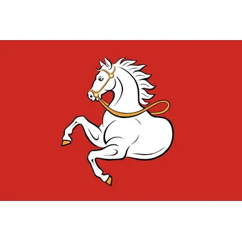 Vlajka vlajka Pardubic - 60 x 90 cm - tunel, karabina