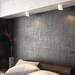 Philips Phase LED Downlight bílý 1žár. bílá 1 x 4,5 W LED - Doprava zdarma