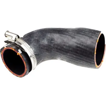 Hadička plnicího vzduchu BUGIAD 88840