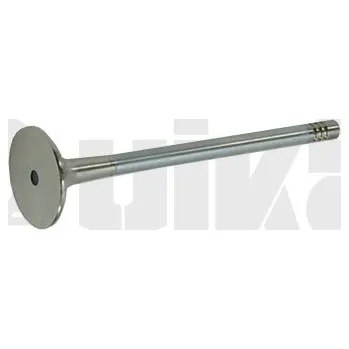 Motor automobilu Výfukový ventil vika (11091793501)