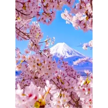 Diamantové malování Sada na diamantové malování - Pohled na zasněženou horu