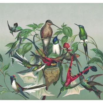 Fototapeta Vliesová fototapeta na zeď Rasch 543551, Magic Walls, 2,65 x 2,65 m, ptačí hnízdo