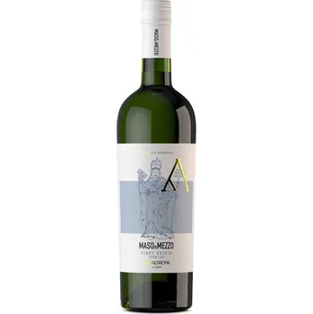 Víno Bílé suché víno, Vinařství Mezzacorona Pinot Grigio Maso di Mezzo, 12.5% obj., 0.75 l