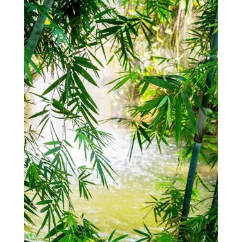 Fototapeta Vliesová fototapeta na zeď Rasch 363364, Magic Walls, 2,12 x 2,65 m (4 pruhy o šíři 53 cm)