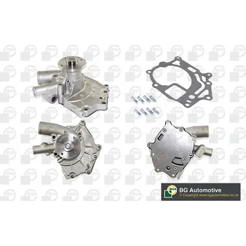 Vodní pumpa motoru Vodní čerpadlo, , 210109C600, NBU1752, BGA, CP3134