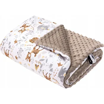 Dětská deka Dětská deka do školky MINKY Bavlněná 100x140 cm