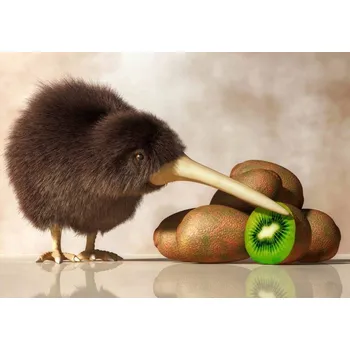 Výtvarná sada Pohlednice 3D - Kiwi & Kiwi