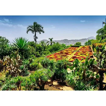 Puzzle RAVENSBURGER Kouzelné zahrady Botanická zahrada Madeira 1000 dílků