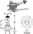 Autožárovka OSRAM 64210NB220 H7 12V 55W