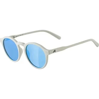 Sluneční brýle Lifestyle brýle ALPINA sneek a8699 - Cool-grey matt, A8699.3.21