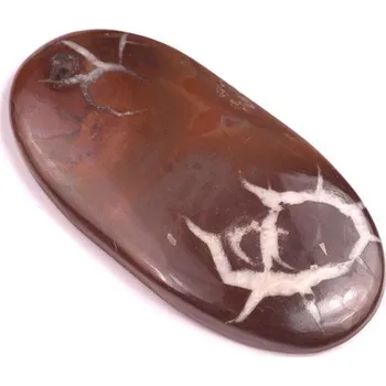 Korálek Kabošon Septarian č.327 (41x21mm)