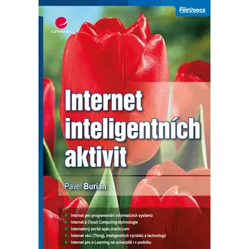 Kniha Internet inteligentních aktivit