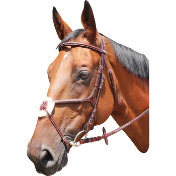 Vybavení pro koně Kentaur Uzdečka Premium KNOXVILLE tmavě hnědá, Full