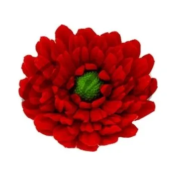 Jedlá dekorace na dort Gerbera červená - cukrový květ