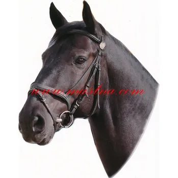 Samolepka Nonius, moravský teplokrevník, kůň, koně