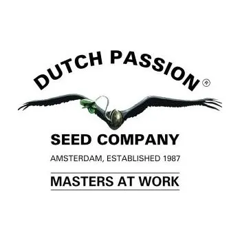 Semeno Dutch Passion Strawberry Cough Počet ks Feminizované: 3