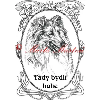 Cedulka kolie - skotský ovčák ovál - Bez samolepicí vrstvy