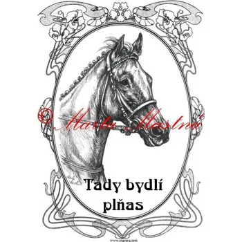 Cedulka anglický plnokrevník, kůň, koně ovál - Bez samolepicí vrstvy