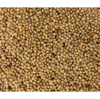 Pro ptáka Proso bílé 1 kg